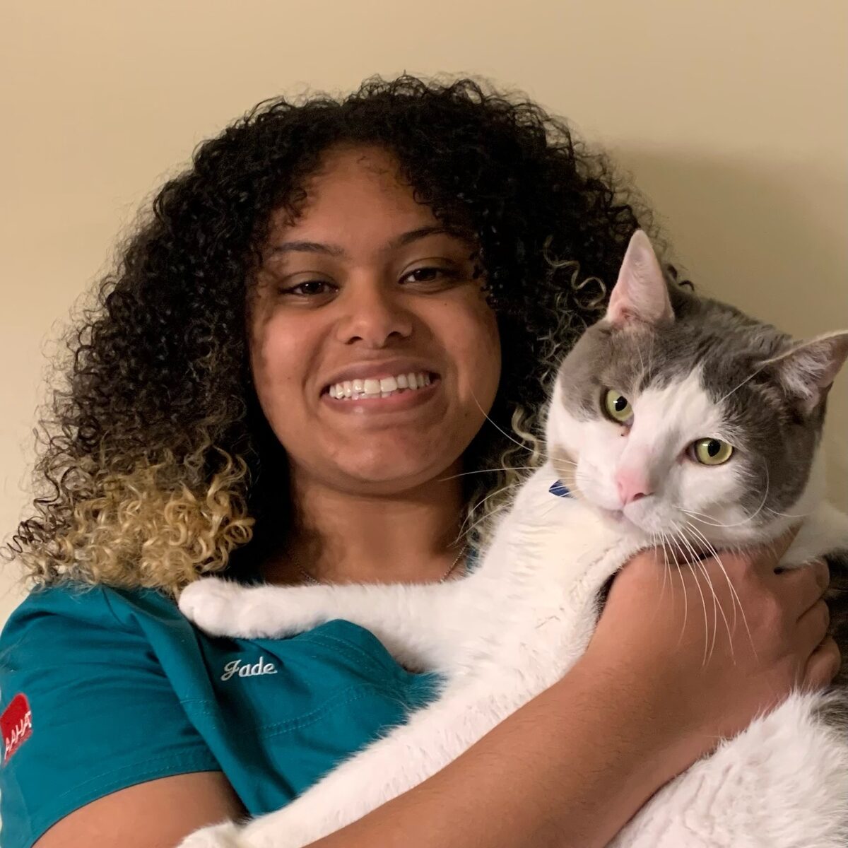 Jade Michigan City Animal Hospital